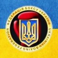 Федерація боксу України